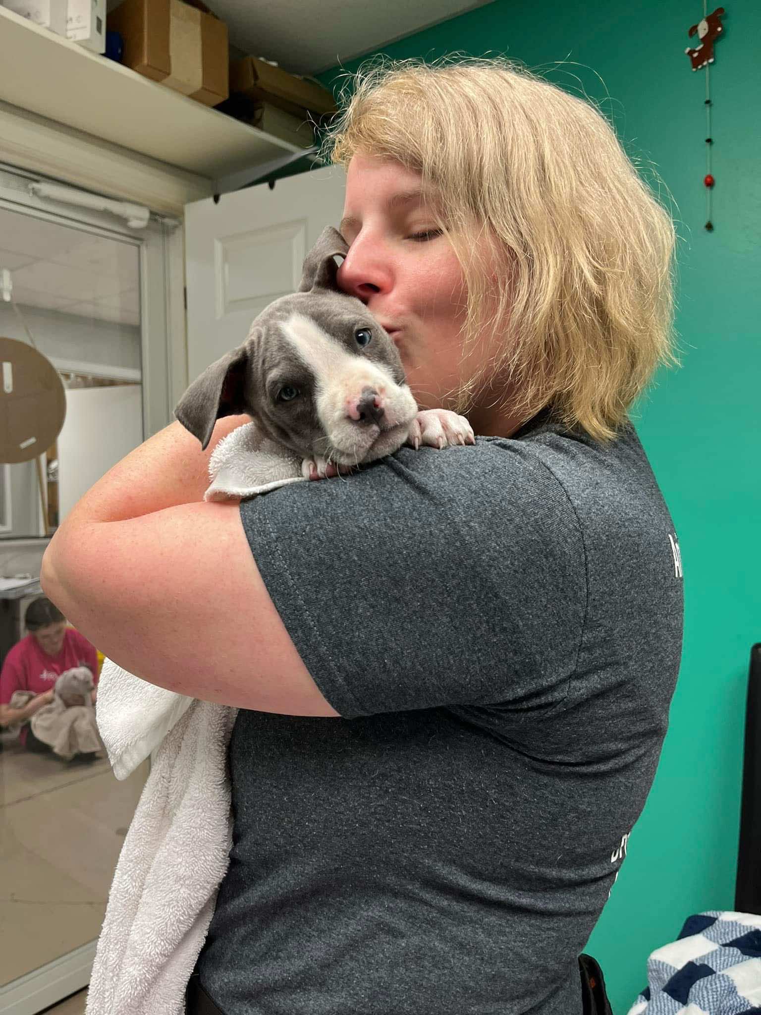 Bryant Animal Services gallery image 37