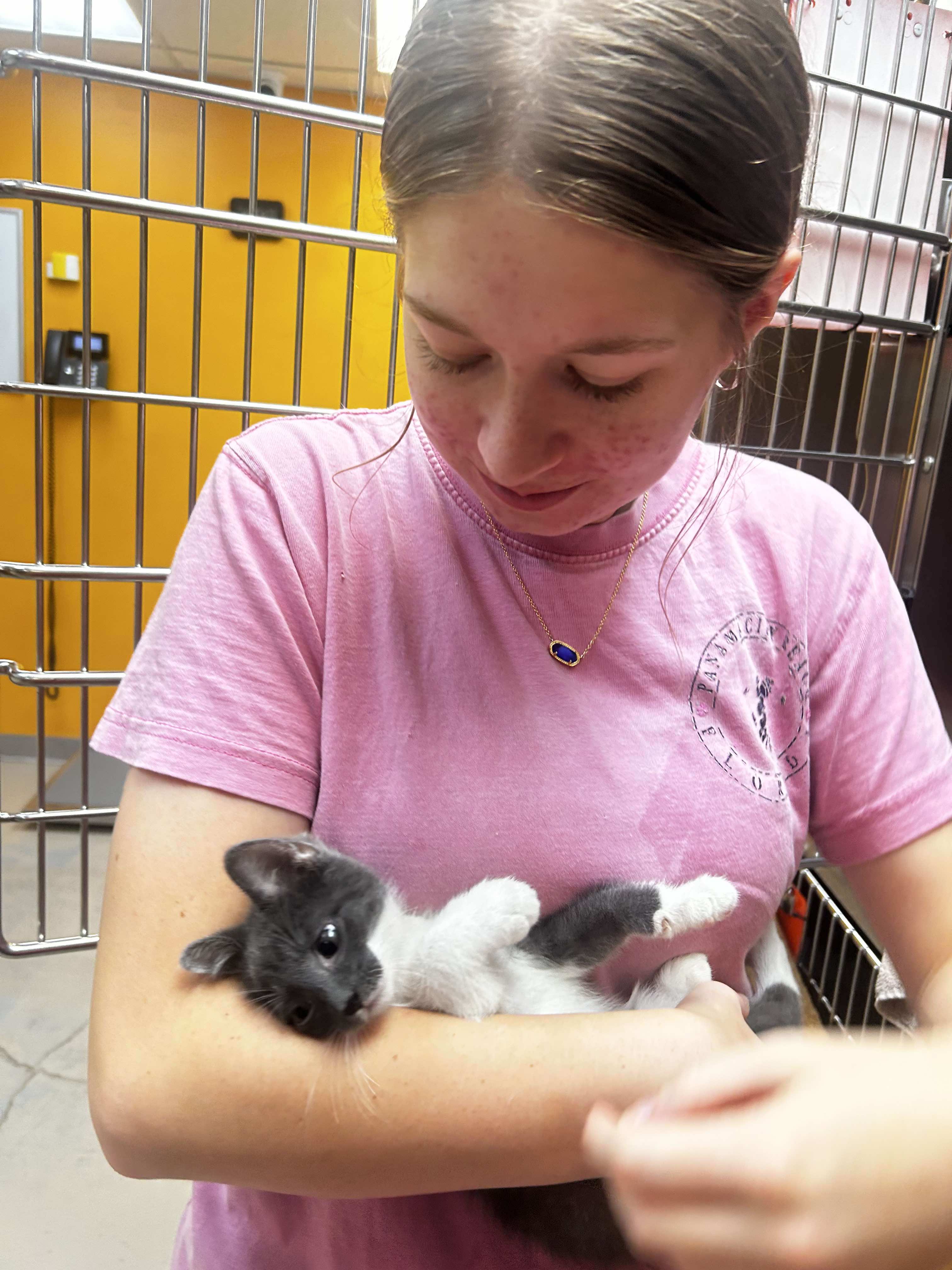Bryant Animal Services gallery image 43