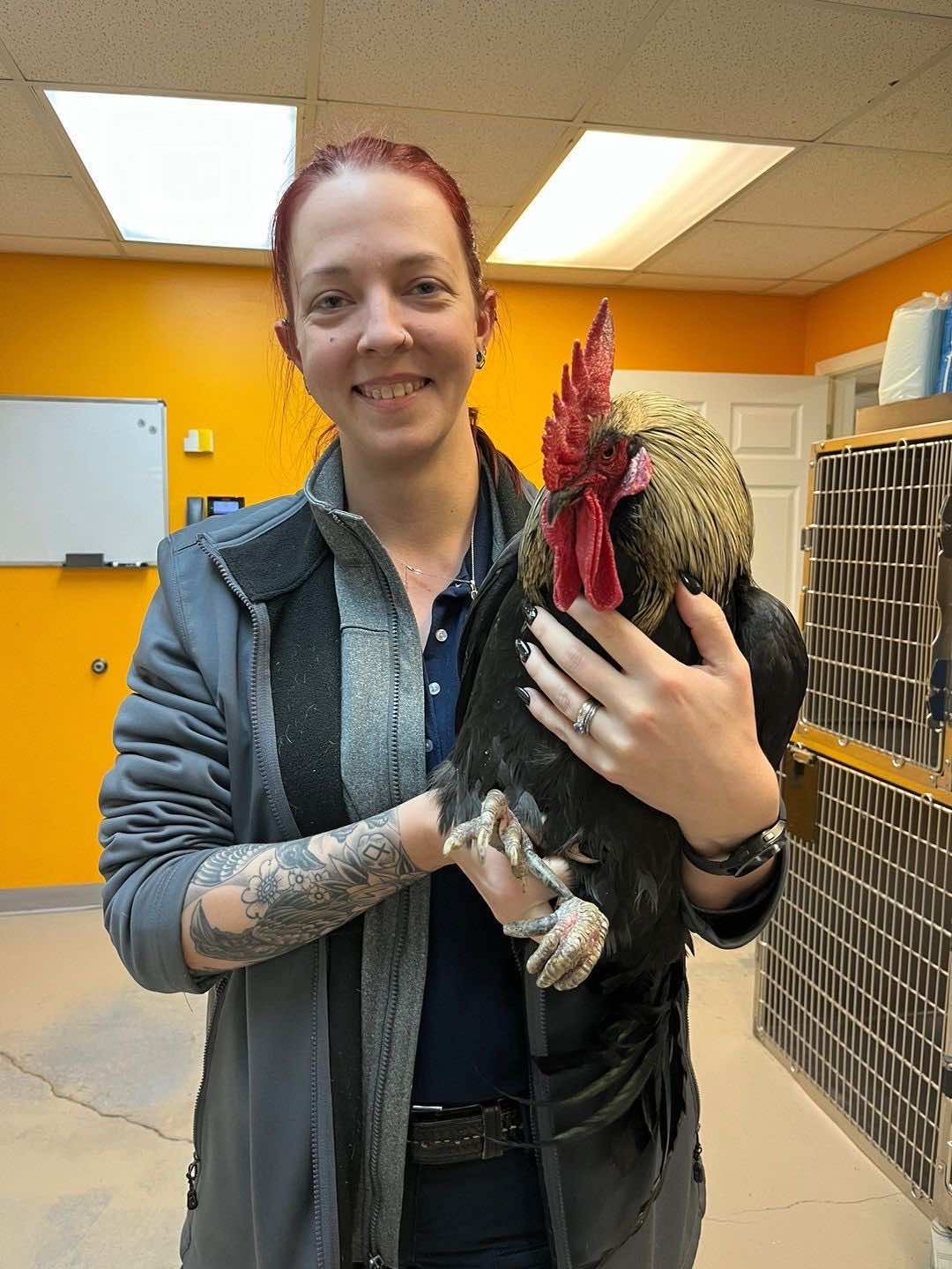 Bryant Animal Services gallery image 46