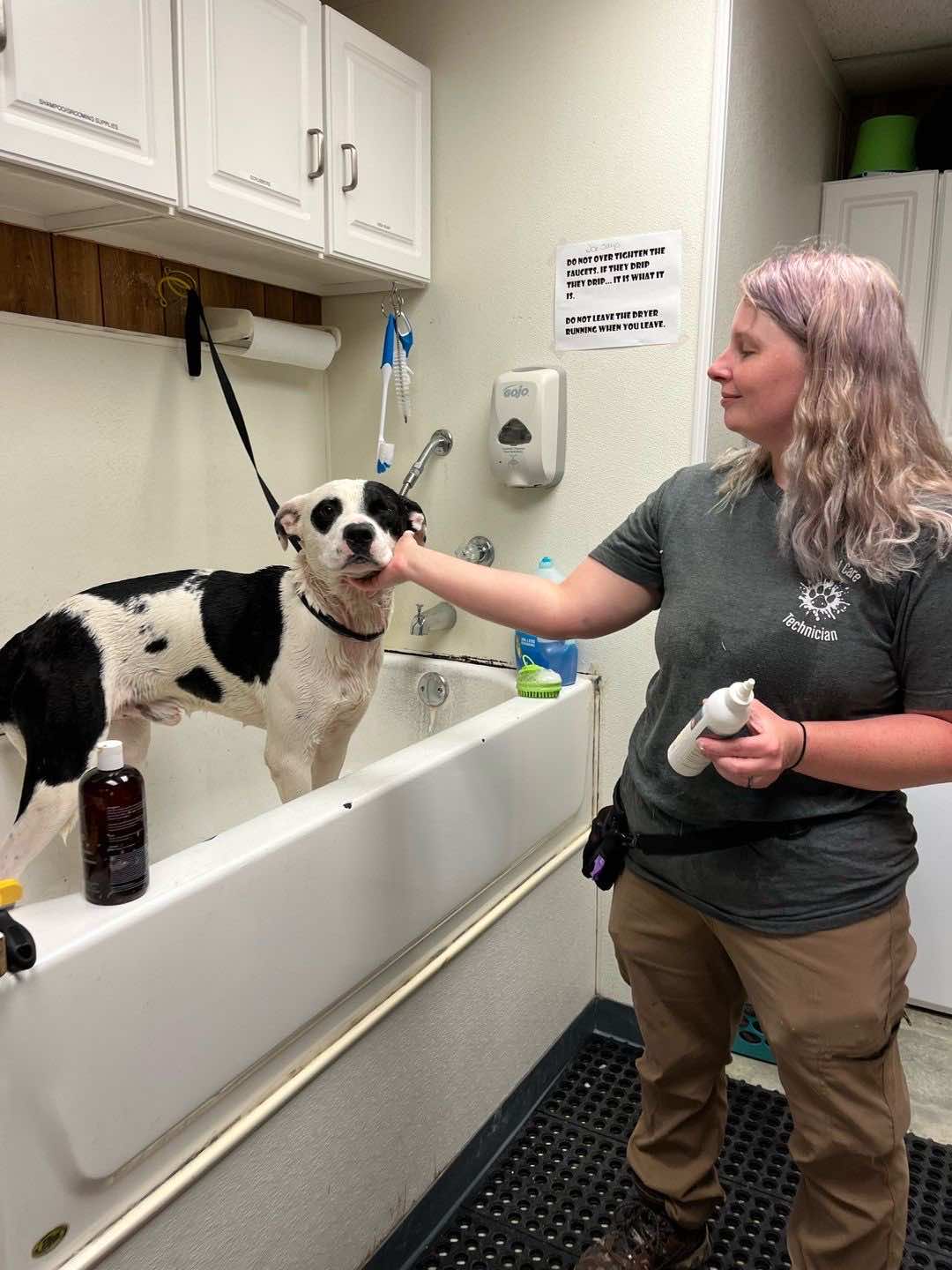 Bryant Animal Services gallery image 47