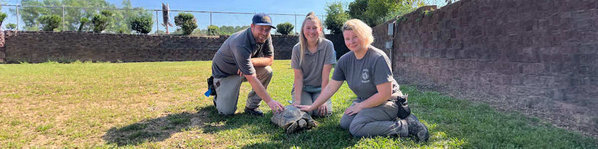 Services at Bryant Animal Services