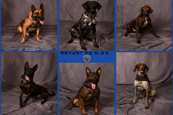 K9