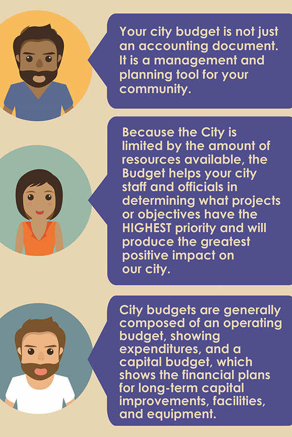 budget infographic 1