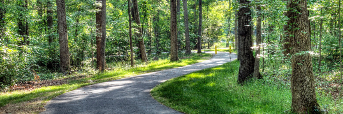 Aloca 40 to Mills Park Trail Connection Photo